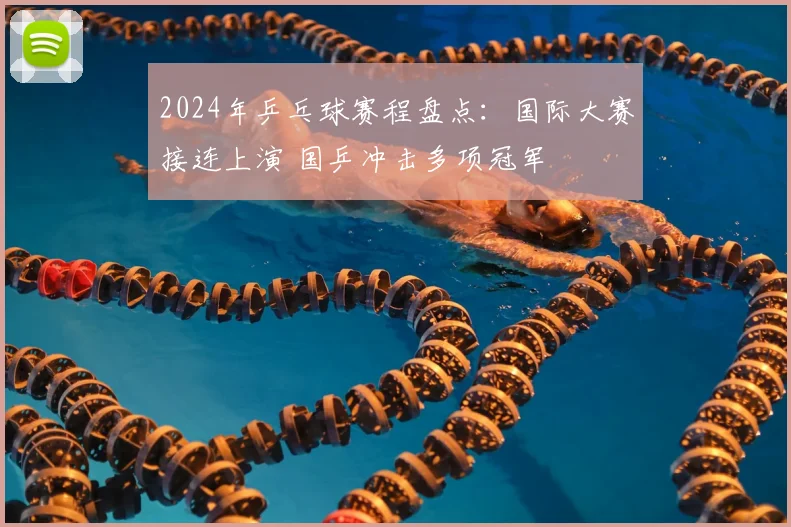 2024年乒乓球赛程盘点：国际大赛接连上演 国乒冲击多项冠军